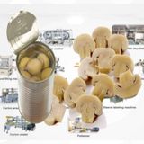  Máy Làm Thực Phẩm Đóng Hộp Lwt LWT-0212A 