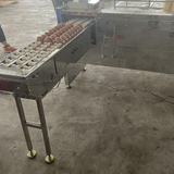  Máy Máy Phân Loại Trứng Juyou JY-SE1000 