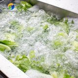  Dây Chuyền Sản Xuất Phân Loại Trái Cây Và Rau Công Nghiệp Tengsheng CUSTOMIZED 