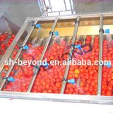  Máy Sản Xuất Nước Ép Trái Cây Beyond DIFFERENT MODEL 