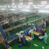  Dây Chuyền Làm Rau Quả Leadworld 