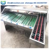  MáyLàm Thực Phẩm Share SRD-FJJ 