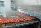  Dây Chuyền Sản Xuất Rau Đông Lạnh Lonkia LK-012 