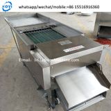  Máy Máy Tách Hạt Ớt Khô Máy Làm Bột Ớt Kovi KVL-500 