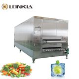  Dây Chuyền Sản Xuất Rau Đông Lạnh Lonkia LK-012 