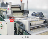  Dây Chuyền Sản Xuất Mỳ Tươi Dongfang 400 FRESH NOODLE PRODUCTION LINE 
