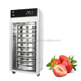  Máy Sấy Trái CâyShouchuang SC-10A116 