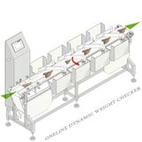  Dây Chuyền Sản Xuất Hải Sản Alwell YSWS--220-N 
