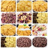  Máy Cung Cấp Dinh Dưỡng Ngô Flakes Ăn Sáng Sena SN75 