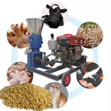  Máy Làm Thức Ăn Viên Maikey TYPE-300 