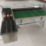  Máy Làm Trứng Gà Tự Động Great Farm GF-EG5000 