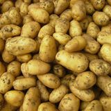  Máy Làm Thực Phẩm Trái Cây Tca SDS 