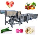  Máy Rửa Rau Củ Thực Phẩm Nhỏ Quate QT-WM01 