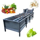  Máy Rửa Rau Củ Thực Phẩm Nhỏ Quate QT-WM01 