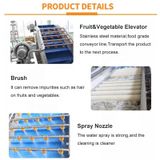  Máy Làm Sạch Rau Củ Quả Leadworld FRUIT AND VEGETABLE CLEANING MACHINE 