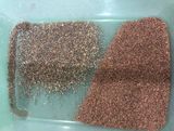  Máy Làm Quặng Kim Loại Vành Đai Wenyao WYB1 