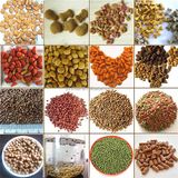  Máy Sản Xuất Thức Ăn Cho Thú Cưng Tự Động Hoàn Toàn Himax HM 