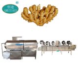  Máy Làm Làm Sạch Gừng Cnztm & Ambitious TSGT-30,TSGP-60 