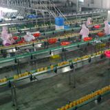  Dây Chuyền Sản Xuất Chiết Rót Nước Sốt Lwt 