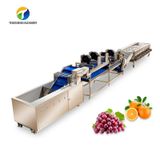  Dây Chuyền Sản Xuất Phân Loại Trái Cây Và Rau Công Nghiệp Tengsheng CUSTOMIZED 