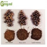  Máy Làm Bột Cà Phê Hòa TanGenyond GYIC-50 