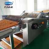  Máy Làm Bánh Quy Tự Động Skywin 1500MM 