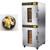  Máy Làm Trái Cây Khô Cho Cà Chua Và Trà Sấy Máy Sấy Lò Golden Shell ST-32 
