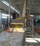  Máy Làm Thực Phẩm Mứt Mơ Đào Easyreal JAM PROCESSING LINE 