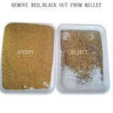  Máy Làm Cà Phê Hạt Cà Phê Màu Wesort SORTING MACHINE ACCESSORIES 