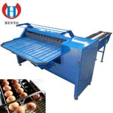  Máy Phân Loại Kích Thước Trứng  Hento EGG SORTING MACHINE 