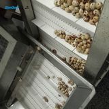  Máy Làm Các Loại Củ Cải Finger Chips/cà Rốt Stick/khoai Tây Chiên Khoai Zg AUTOMATIC EGG INKUBATOR 