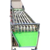  Máy Làm Trái Cây Họ Cam Quýt Kích ThướcPenghui PH-FS9 