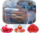  Máy Lột Vỏ Lựu Shuliy SLMODEL 