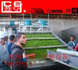  Máy Làm Rong Biển Changgan DWD 
