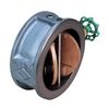  Loại 10 K - Van Một Chiều Cánh Gang - TOYO VALVE 