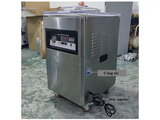 Máy Hút Chân Không 1 Buồng - DZQ500 