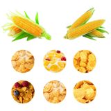  Máy Gạo Ăn Sáng Ngũ Cốc Sonya SY-70 