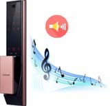  Khóa điện tử SAMSUNG SHP-DP738 (Vân tay - Thẻ từ - Mã Số ) 