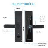  Khóa điện tử WIDMANN F22 [Vân tay - Thẻ từ - Mã Số - APP] 