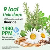  Kem đánh răng từ thảo dược & fluoride trắng răng, thơm miệng Dr.PONG 9X HERBAL PLUS FLUORIDE TOOTHPASTE 100g 
