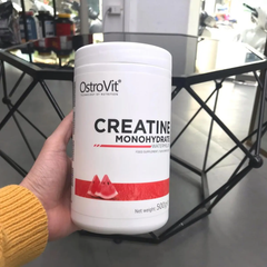 Ostrovit Creatine Monohydrate 500G (100 Servings)