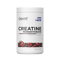 Ostrovit Creatine Monohydrate 500G (100 Servings)