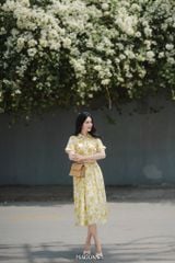 Đầm Namy-MS_25%