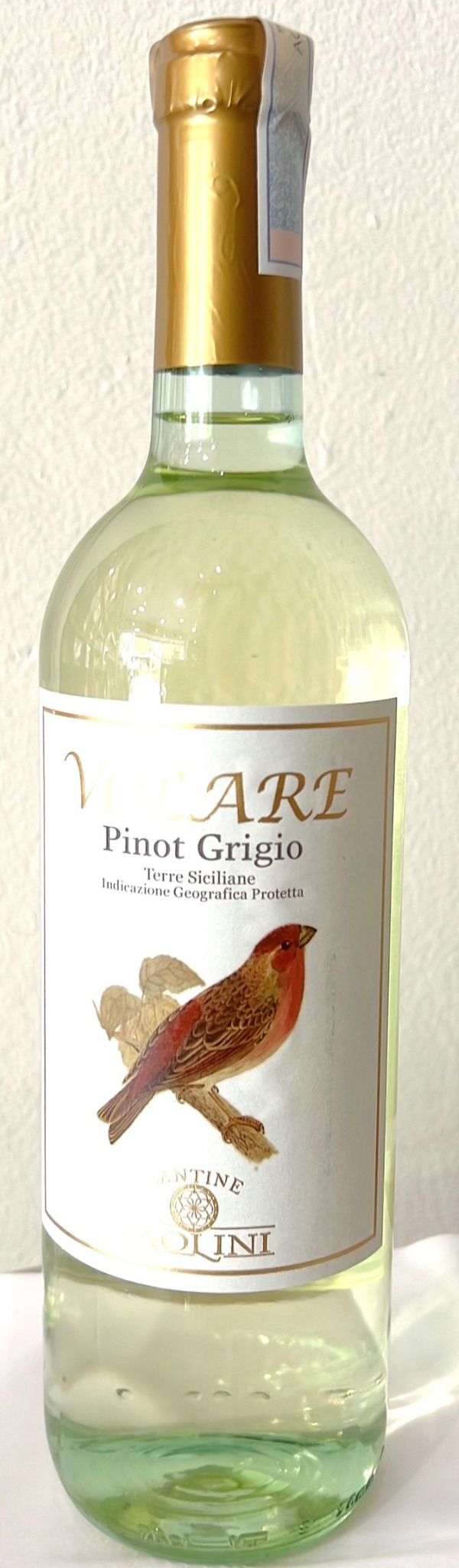 VOLARE Pinot grigio !2%   Ý