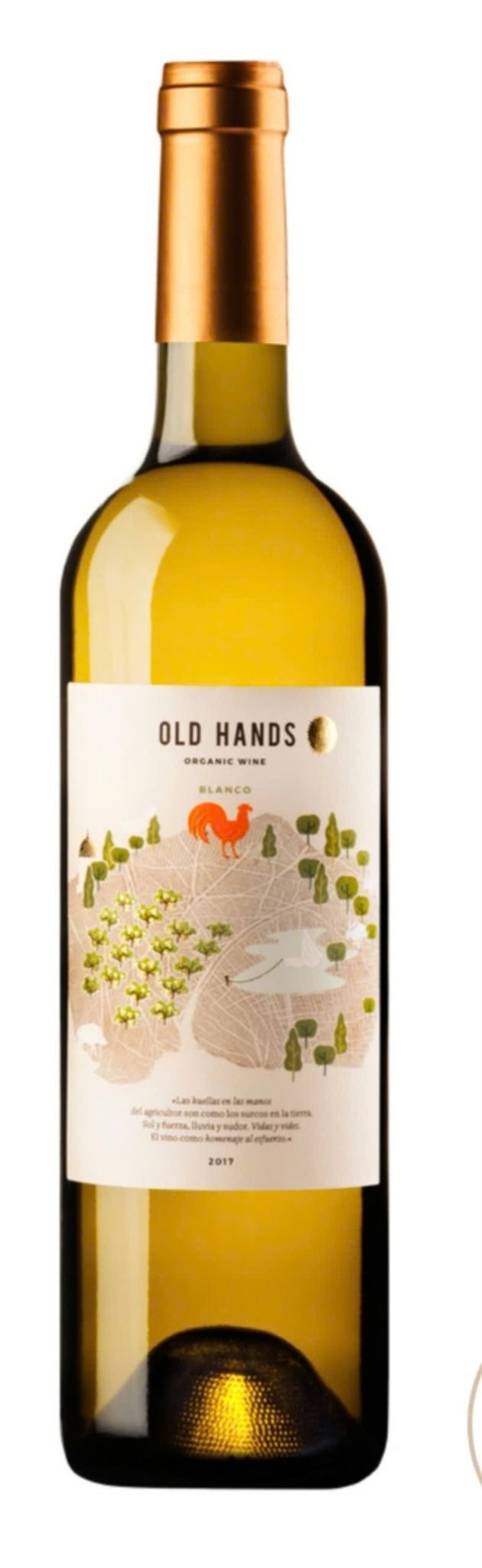 OLD HANDS SAUVIGNON BLANC 13%  TBN