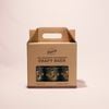 SET 6 CRAFT BEER BOTTLES