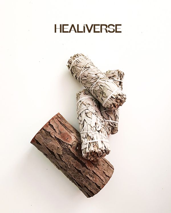 Xô Thơm Trắng - White Sage – HEALIVERSE HOLISTIC CENTRE | Sacred Herbs ...