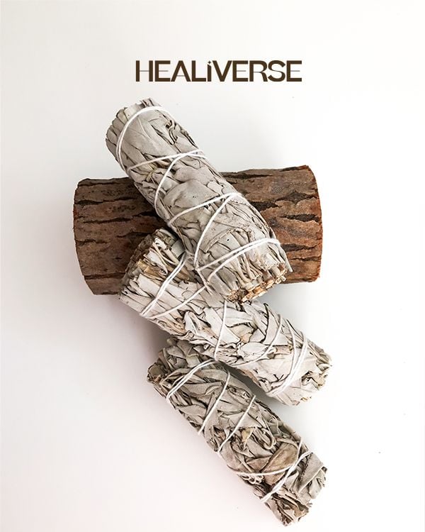 Xô Thơm Trắng - White Sage – HEALIVERSE HOLISTIC CENTRE | Sacred Herbs ...