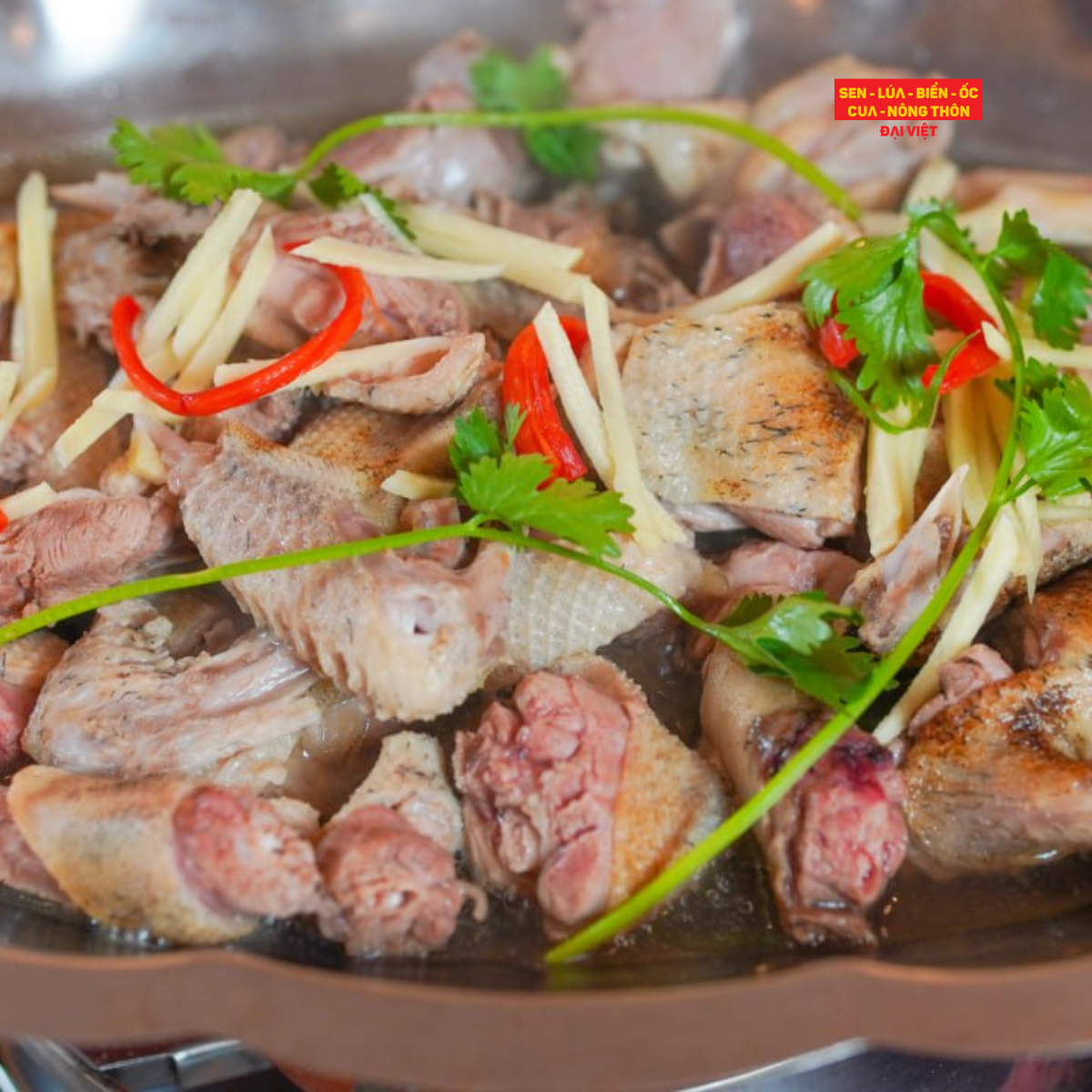  Steamed Mallard with Ginger & fish sauce - Vịt trời Hấp mắm gừng 