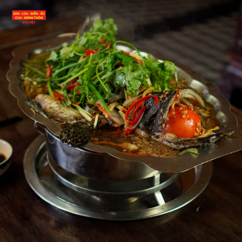  Steamed Hongkong-Style Grouper - Cá Bống Mú Hấp Hồng Kông (Giá tính theo 1 con 1 kg) 